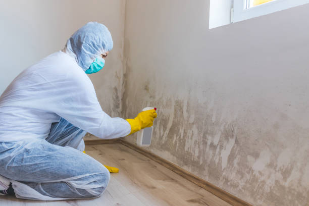 Hvac And Air Duct Mold Remediation inspection of HVAC system in Washington