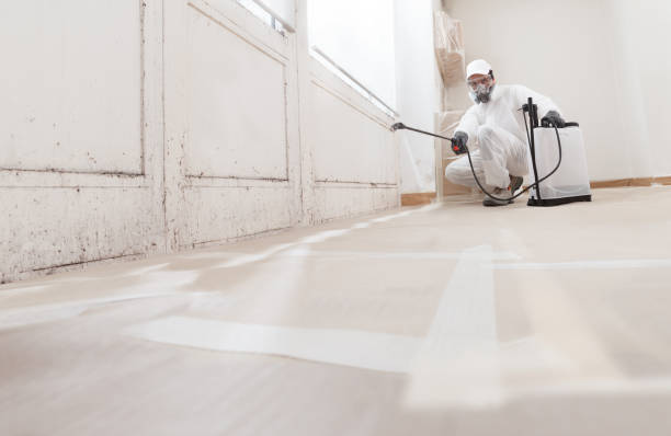 Black mold remediation team in Washington